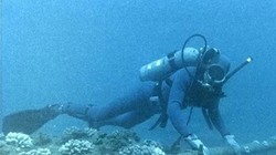 Sự cố đứt cáp biển khiến cho các thuê bao của Viettel kết nối Internet ra nước ngoài có thể bị chậm, chập chờn