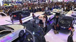 2016 là một năm thành công của thị trường ô tô Việt Nam