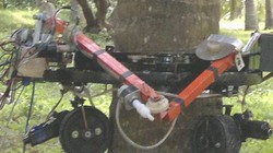 Ảnh robot trong thực tế