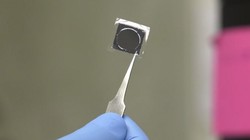 Chip thông minh Tissue Nanotransfection (TNT)