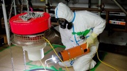 Robot Avexis đang được triển khai để dọn dẹp hầm chứa chất thải hạt nhân Magnox Swarf. (Nguồn: world-nuclear-news.org)