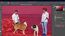 AI của Adobe sẽ giúp xác định chủ đề và nền trong những bức hình phức tạp tốt hơn. ẢNH: ADOBE