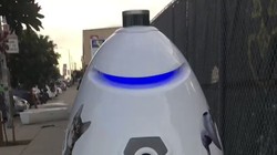 Robot K9 đang đi tuần tra