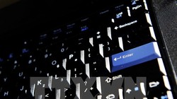 Ảnh minh họa. (Nguồn: AFP/TTXVN)