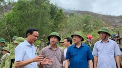 Ngày 1/7, Phó Thủ tướng Vương Đình Huệ tiếp tục thị sát việc chữa cháy rừng tại huyện Đức Thọ (ảnh: Thành Chung)