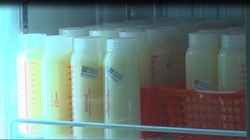 Sữa mẹ được lưu trữ và bảo quản chặt chẽ tại  "Ngân hàng sữa mẹ" của BV Từ Dũ