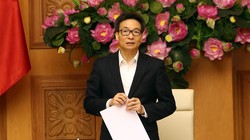 Phó Thủ tướng Vũ Đức Đam. (Ảnh: VGP)