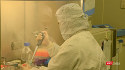 Nghiên cứu chế tạo vaccine phòng bệnh tại Công ty VABIOTECH