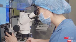 Chuyên viên phôi học đang quan sát phôi khi đưa vào môi trường trữ phôi Cryotec RtU.png