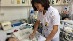 Báo động bệnh ấu trùng giun đũa chó, mèo do thói quen ôm ấp thú cưng