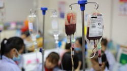 Khoảng 14 triệu người Việt Nam mang gen bệnh tan máu bẩm sinh