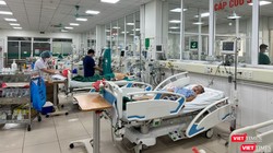 Người đàn ông nhập viện với triệu chứng nghiêm trọng chỉ vì bị mèo cào