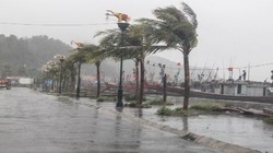  Bộ Y tế yêu cầu các BV sẵn sàng cấp cứu trước tình huống thương vong do bão số 3