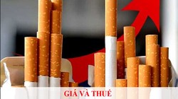 Gánh nặng bệnh tật do thuốc lá ở Việt Nam cao hơn trung bình toàn cầu