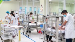 Phụ huynh nấu nhầm cháo hoa thuỷ tiên, 2 cháu bé phải nhập viện cấp cứu