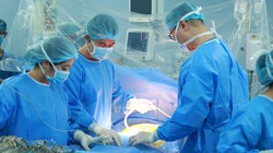 Từ ca hiến tạng của một kiều bào, nhiều bệnh nhân may mắn đổi đời
