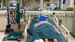 Cứu sống cháu bé bị suy đa tạng do sốt rét ác tính