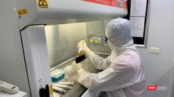 Chương trình đào tạo của Trường Đại học Y Hà Nội được xây dựng hướng đến tầm nhìn châu lục