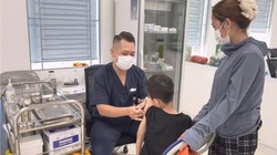 Trẻ bị chó cắn tăng dịp hè: Cảnh báo nguy cơ từ vật nuôi trong nhà 