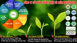 Công ty FAO bị tước quyền chỉ định kiểm nghiệm thực phẩm, buộc thu hồi kết quả đã cấp