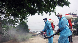 Nguy cơ Chikungunya “gõ cửa”, Việt Nam căng mình chặn dịch 