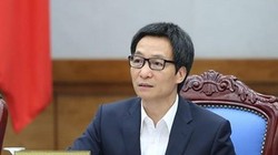 Phó Thủ tướng Vũ Đức Đam 