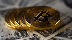 Những vụ lừa đảo Bitcoin thu về 24 triệu USD chỉ trong năm 2020