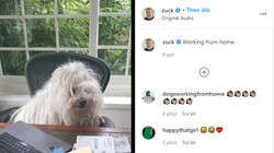 Mark Zuckerberg đăng video đầu tiên trên Reels và thu hút 58.000 lượt like sau vài tiếng đồng hồ.