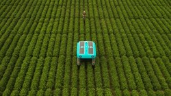 Robot thuộc dự án Mineral có thể đánh giá tình trạng cây trồng để đưa ra lời khuyên về cách chăm sóc cây