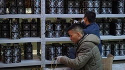 Thợ đào tiền ảo và 'cú sốc' Bitcoin