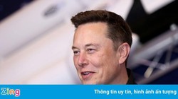 Elon Musk đã khiến Bitcoin và tiền mã hóa trở nên điên rồ