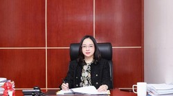 Phó TBT Báo VietNamNet Hoàng Thị Bảo Hương