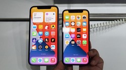 Giá iPhone 12 mini xuống bằng iPhone 11
