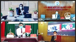 Hợp tác thúc đẩy chuyển đổi số để tiêu thụ nông sản