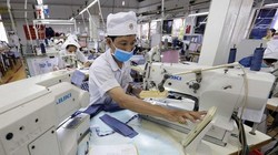 WB hỗ trợ 600 doanh nghiệp nhỏ và vừa chuyển đổi số