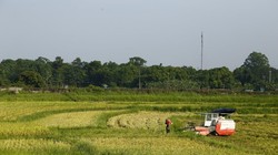 Phát triển nông thôn mới theo hướng bền vững, kết hợp chuyển đổi số