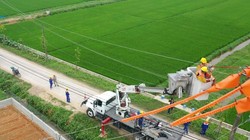 Công nhân EVN nâng cấp lưới điện, đảm bảo an ninh năng lượng quốc gia