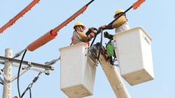 Công nhân ngành điện đang bảo dưỡng đường dây (ảnh LM)