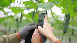 Xây dựng cơ sở dữ liệu hơn 100 giải pháp công nghệ hỗ trợ chuyển đổi số nông nghiệp 