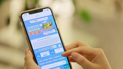 Sàn Vỏ Sò đã cung cấp dịch vụ đi chợ hộ tại 61 tỉnh, thành phố