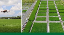 Hoàn thiện hệ sinh thái cho chuyển đổi số nông nghiệp Việt Nam