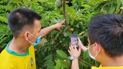 Lạng Sơn phát triển nhanh kinh tế số