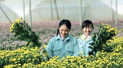 Du lịch canh nông phát triển mạnh ở tỉnh Lâm Đồng.