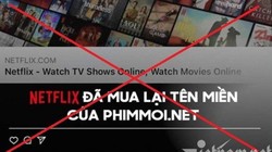 Netflix phủ nhận việc mua lại tên miền Phimmoi.net