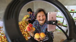 Nông dân Trung Quốc thoát nghèo nhờ thương mại điện tử