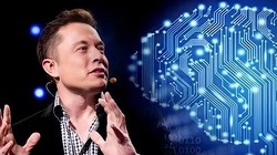 Elon Musk sắp thử nghiệm chip cấy não trên người?