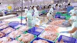 Doanh nghiệp tư nhân sẽ nhận được nhiều hỗ trợ trong giai đoạn 2022 - 2025