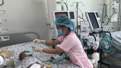 Sốt xuất huyết dễ trở nặng hơn khi từng nhiễm COVID-19