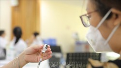 Ảnh minh hoạ: Minh Quyết