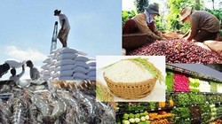 Ứng dụng công nghệ trong thu thập thông tin, dự báo tình hình thị trường nông sản